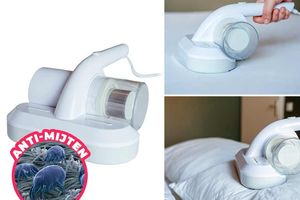 Nexxt - Aspirateur à main et nettoyeur de matelas Mites