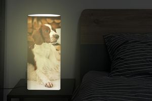 Jouw foto op een fotolamp (45 x 33,5 cm)