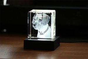 Gutschein im Wert von 50 € für ein 3D-Foto in Kristall