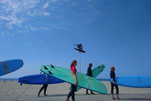 Surfles bij Surfschool Senang in Hoek van Holland (1 p.)