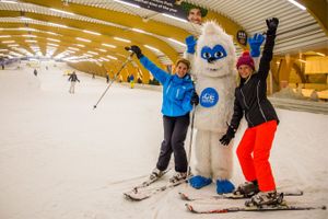 Hele dag skiën of snowboarden bij Ice Mountain (2p.)