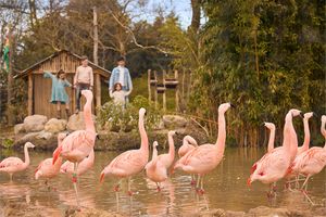 ZooParc Overloon tickets (2 p.)