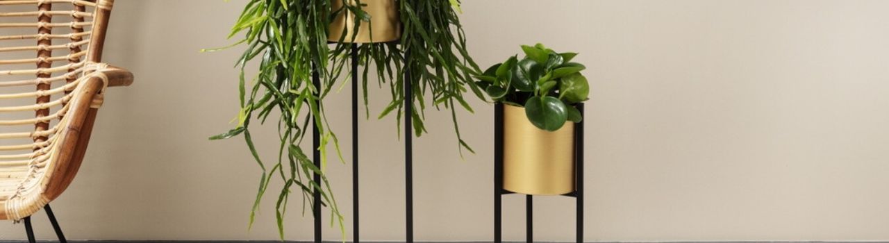 2 metalen plantenbakken van Lifa Living