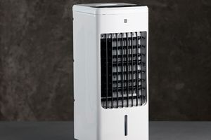 Refroidisseur d'air avec télécommande 3,6 L (60 W)