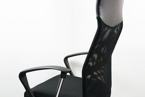 Zwarte professionele bureaustoel met armleuningen