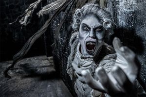 Halloween in Walibi Holland met overnachting (4 p.)