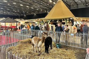 Countryside in Flanders Expo Gent (2 p.)