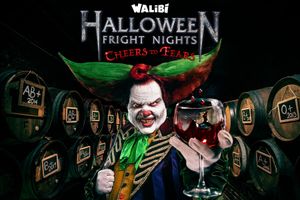 Halloween in Walibi Holland met overnachting (8 p.)