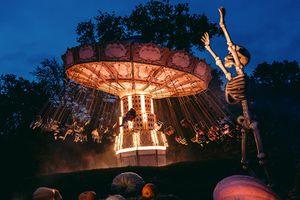 Halloween bij Bellewaerde Park in Ieper voor 2 personen