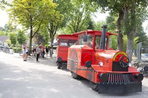 Automne : séjour dans un parc Oostappen (4 - 6 p.)