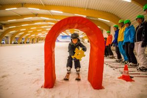 Hele dag skiën of snowboarden bij Ice Mountain (2p.)