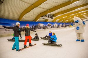 Hele dag skiën of snowboarden bij Ice Mountain (2p.)