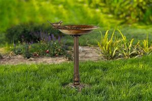 Bain à oiseaux pour ton jardin