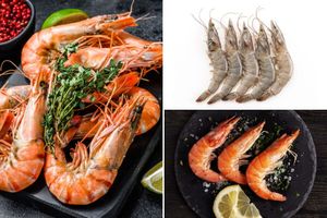 Crevettes Black Tiger- BBQthuisbezorgd (800g)