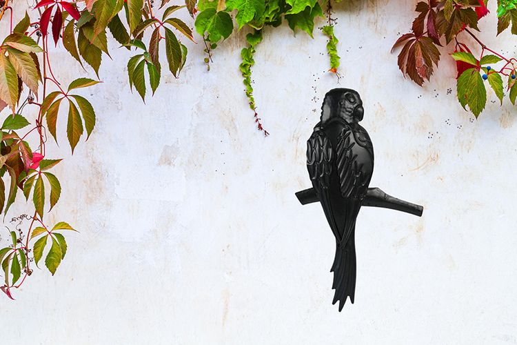 Wandplaat in de vorm van een papegaai