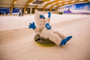 1 journée de ski ou de snowboard à Ice Mountain (2 p.)