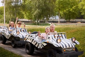 2 Tickets für Spielland Beekse Bergen in NL