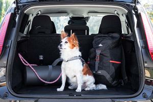 stoelbeschermer hond auto InnovaGoods
