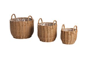 Rotan mand (set van 3)