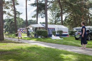 Midweek of weekend in Oostappen Vakantiepark (4 - 6 p.)  (NL)