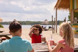 2 Tickets für Spielland Beekse Bergen in NL