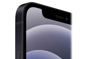 Schwarzes iPhone 12 (64 GB)