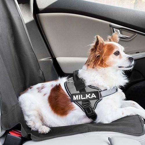 SlaJeSlag Autostoelbeschermer voor honden