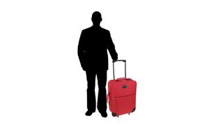 Travel Tas/Koffer met wieltjes opvouwbaar