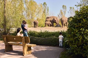 2 Eintrittskarten für Tierpark 'Dierenrijk' in Mierlo NL