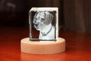 Gutschein im Wert von 50 € für ein 3D-Foto in Kristall
