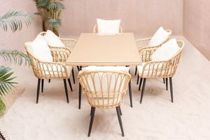 Table de jardin avec 6 chaises