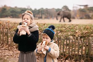 Safaripark Beekse Bergen tickets voor 2 personen