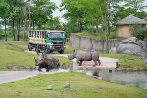 WILDLANDS Adventure Zoo Emmen tickets - 2 personen