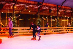 Winter in Attractiepark Slagharen (2 tickets)