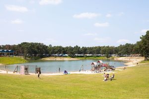 Sommerurlaub: Eine Woche Camping in Oostappen Parks