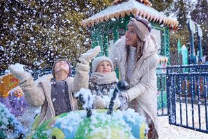 Kerst in Bellewaerde Park in Ieper, België voor 2 personen