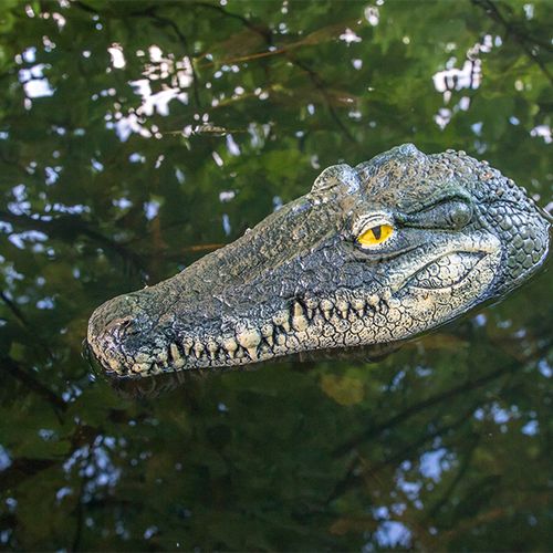 Drijvende krokodillenkop