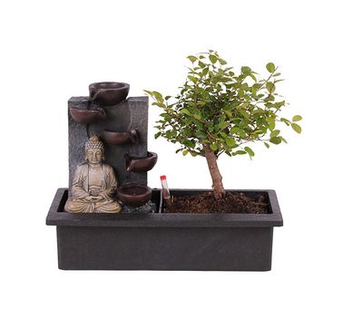 Bonsai ornament met boeddha (hoogte: 25 - 35 cm)