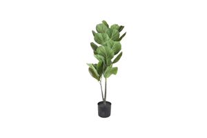 Kunstplant ficus lyrata (hoogte: 75 cm)