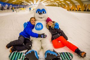 1 journée de ski ou de snowboard à Ice Mountain (2 p.)