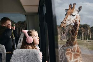 Safaripark Beekse Bergen tickets voor 2 personen (NL)