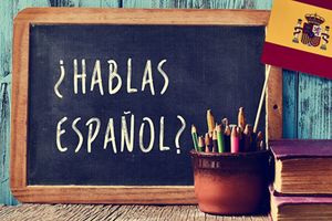 Online taalcursus voor beginners (keuze uit 14 talen)