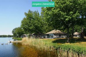 Zomer: Lake Resort Beekse Bergen+ AttractiePas: Jungalows
