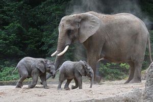 Tickets für den Grünen Zoo in Wuppertal (2 Personen)