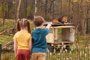 Safaripark Beekse Bergen tickets voor 2 personen