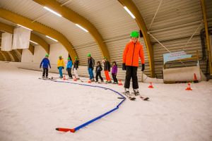 Hele dag skiën of snowboarden bij Ice Mountain (2p.)