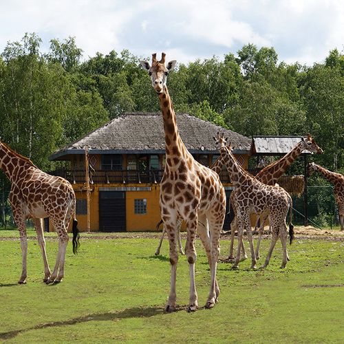 Safaripark Monde Sauvage