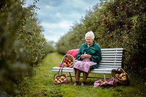 Oma's brievenbus-taart of -cake