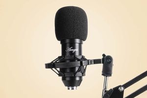 Professionele studio-microfoon