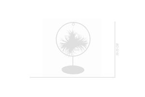 Tillandsia 'Magic Ball' in metalen sierring (30 - 35 cm)